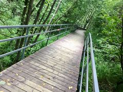 -峡谷浮石林景区