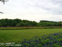 -黑龙江公园