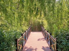 -七彩云南古滇温泉山庄