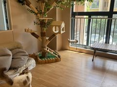 -唐小姐の私宠·宠物洗护美容·撸猫馆·购宠(周浦万达旗舰店)