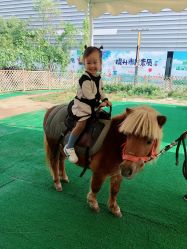 -萌宠亲子动物乐园(槐房万达店)