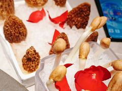 -芸山季·云南野生菌火锅(宝能环球汇店)