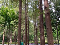 -徐家汇源景区-衡山公园