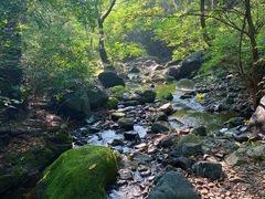 -云岫谷游猎自然风景区