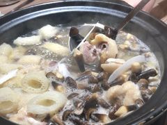 -探窝·竹笙椰子鸡(杨箕店)