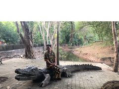 -清迈夜间动物园