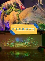 -恐龙探索乐园(磁器口店)