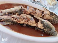 -渔民船说·北塘海鲜·天津菜·海肠捞饭(北塘古镇店)