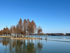 -贡湖湾湿地公园