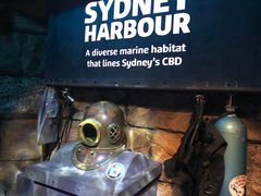 -悉尼海洋生物水族馆