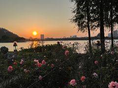 -顺峰山公园
