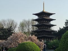 -北京世界公园