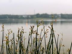 -美兰湖景区