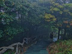 -梧桐山风景名胜区