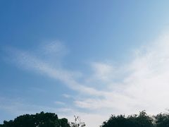 -深圳湾公园(南山区)