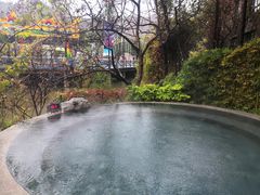 -河源客天下-温泉小镇