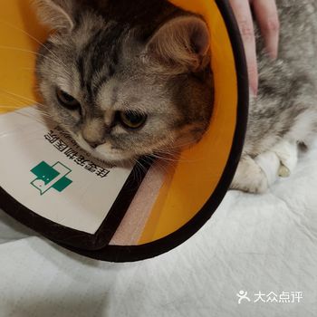 佳雯宠物医院(鹿城分院)