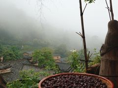 -杨家堂村