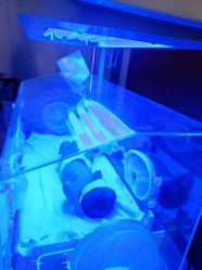 -北京俪婴妇产医院(朝阳大悦城店)