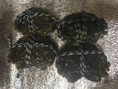 -喜洋洋蟹庄(阳澄湖店)
