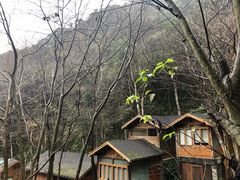 -天明山温泉大酒店