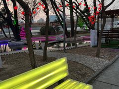 -枫花园汽车电影院(朝阳公园店)