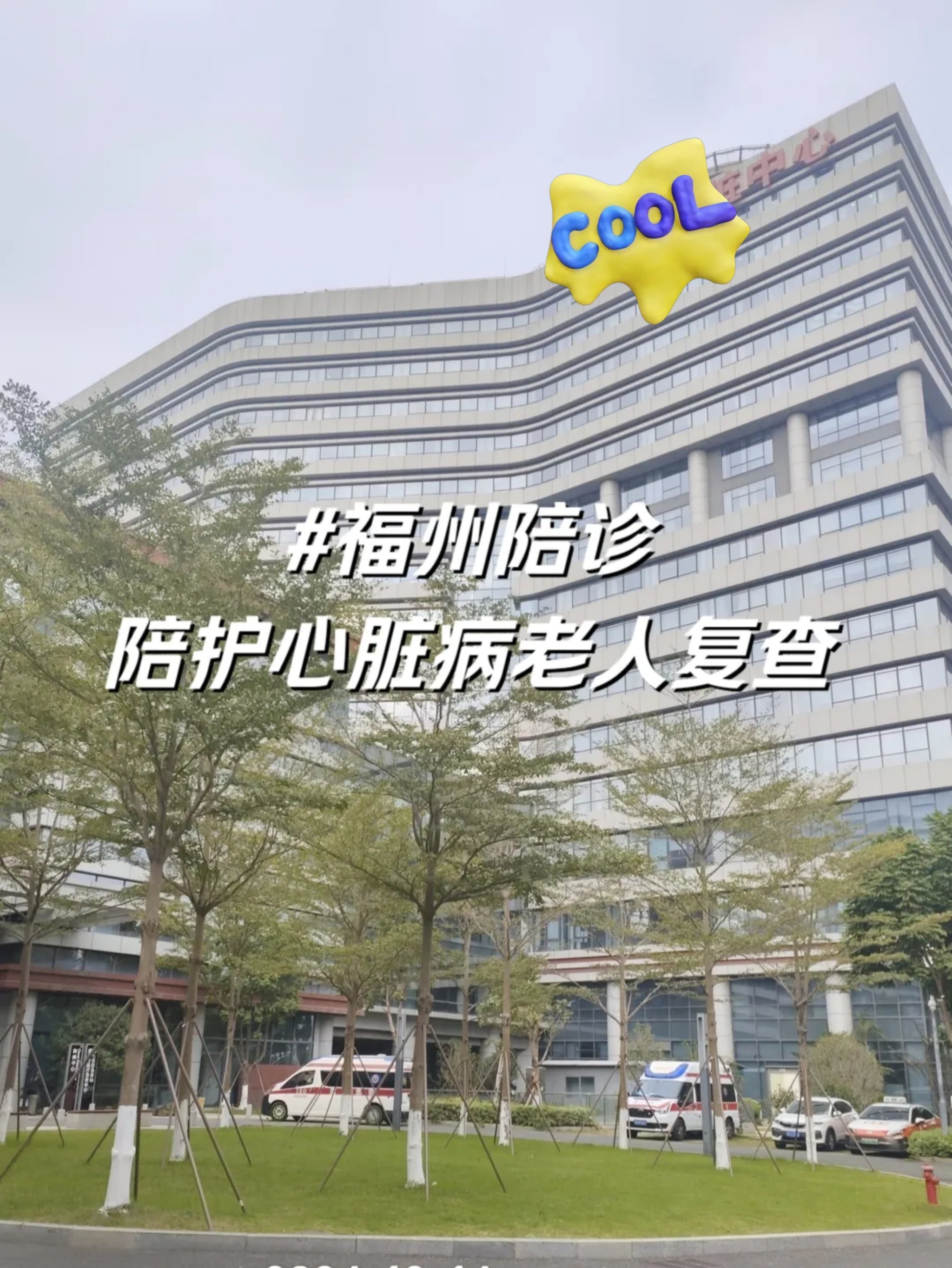福建省立醫(yī)院問診代掛陪診就醫(yī)的簡單介紹
