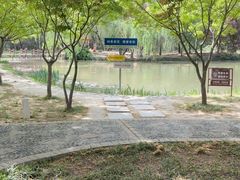 -洛阳市隋唐城遗址植物园