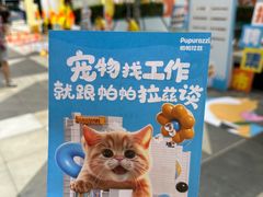 -帕帕拉兹宠物(亚洲旗舰店)