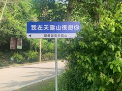 -广东天露山旅游度假区