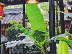 -鱼桥巷·美学川菜