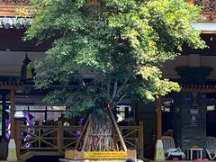 -稷泽·海丽宾雅温泉度假酒店