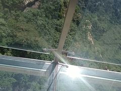 -大芦花风景区