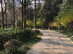 -江苏省人民医院(广州路院区)