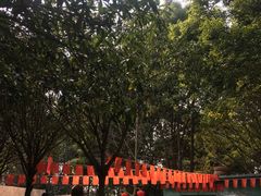 -勇士之星真人CS·团建·拓展(清水河公园店)