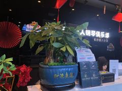 -北京圣典成人钢琴俱乐部(德思勤店)