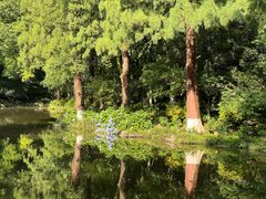 -杭州花家山庄