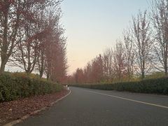 -南京枫彩漫城
