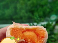 芝士蛋黄-泸溪河桃酥(壹方城店)