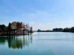 -贡湖湾湿地公园