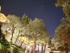 -鸿山公园