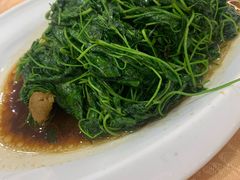 蚌肉金花菜-老苏州茶酒楼