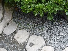 -云里小坐·小院里·团建·宴请·下午茶(三圣乡店)