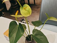 -眉州东坡(清河万象汇店)