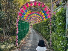 -自然谷恐龙园