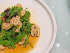 清拌丝瓜尖-湖畔鲁菜·二十年老字号餐厅(大明湖店)