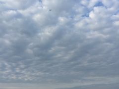 -吴淞口国际邮轮码头-停车场