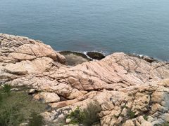 -广东惠东海龟国家级自然保护区