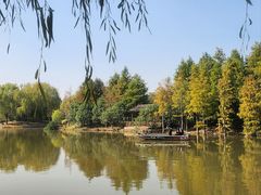 -上海长兴岛郊野公园