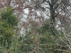 -南山风景名胜区